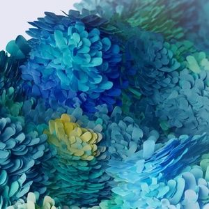 Meet your Posher, Ana